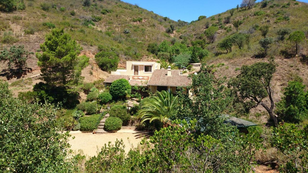 Villa Oasis caché avec Piscine Morenos Exterior foto